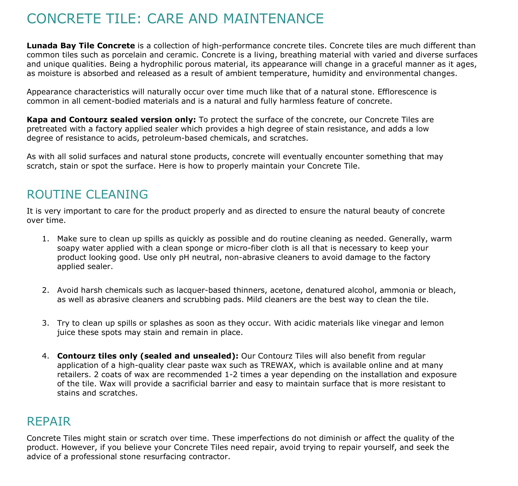 Contourz Concrete Maintenance