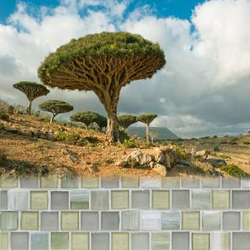 Tommy Bahama<sup>®</sup> 1 x 1 Offset Mosaic / Color - Socotra